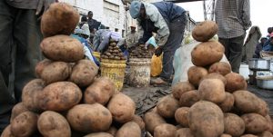 Keniaanse aardappelverkopers