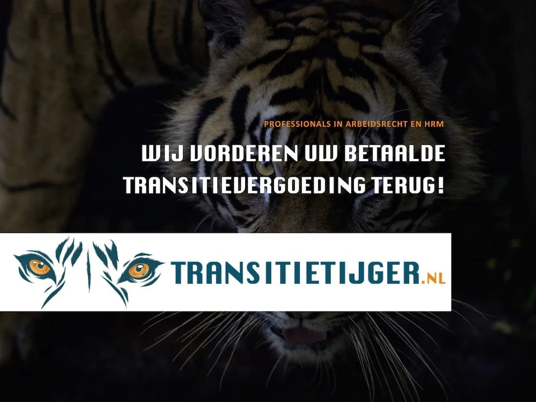 Merkontwikkeling en website