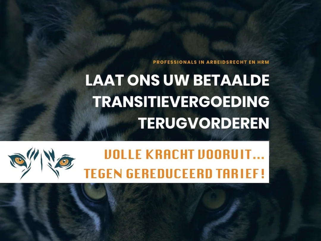 Merkontwikkeling en website